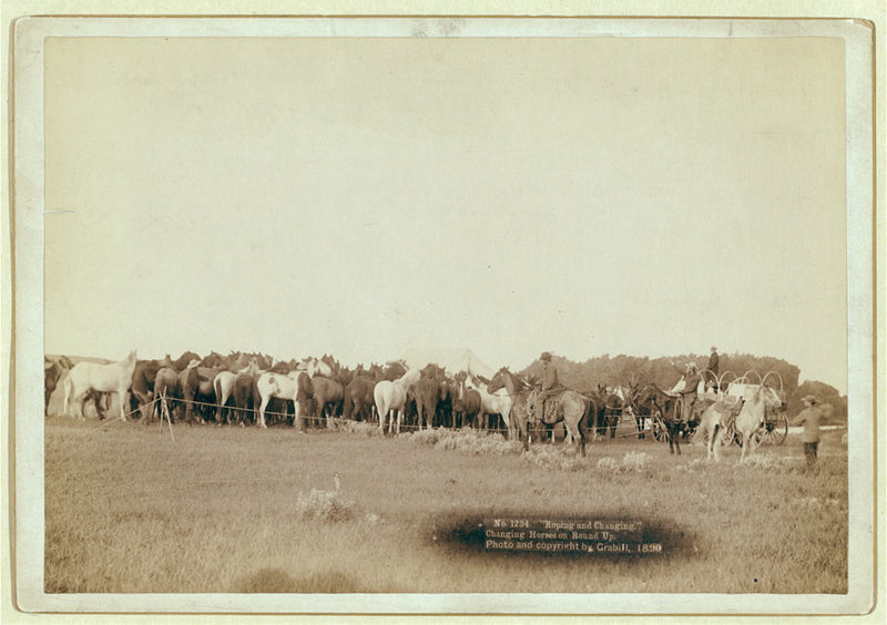 "Roping and Changing" — a roundup crew working together to rope and change horses from the remuda on the open range, 1890 — Cowboy Church on the neighbor's gather (John C. H. Grabill, Library of Congress)