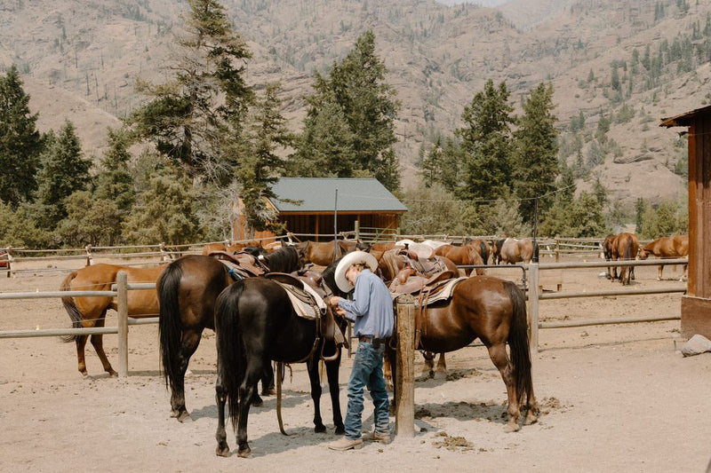 A cowboy quietly saddling horses at a ranch corral fence below the mountains -- Cowboy Church on talking less at the gate and being swift to hear