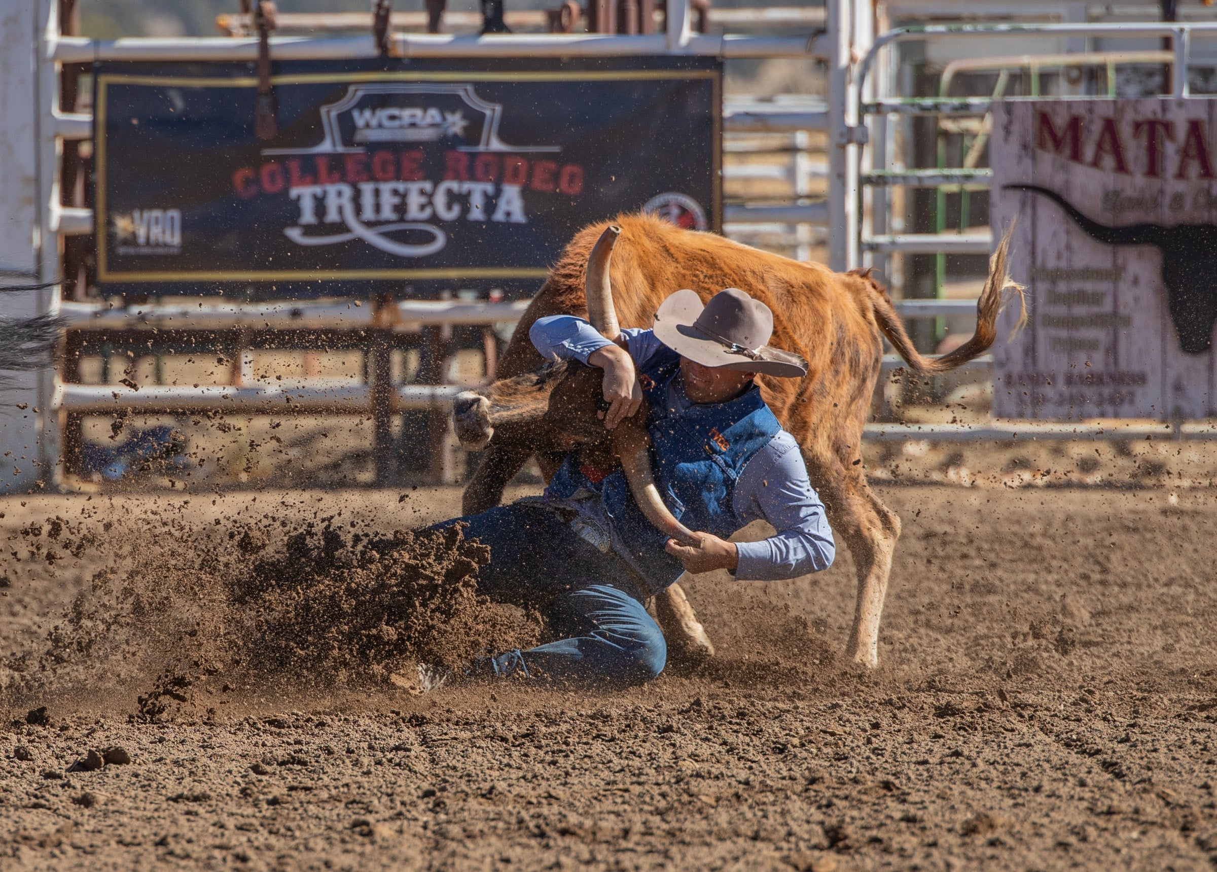 Behind The Chutes- An Interview with Wiley Jack, a PNW Steer Wrestler, Team Roper, and Pick up man!
