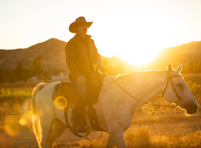 The Homestead Act of 1862: 160 Acres and a Promise