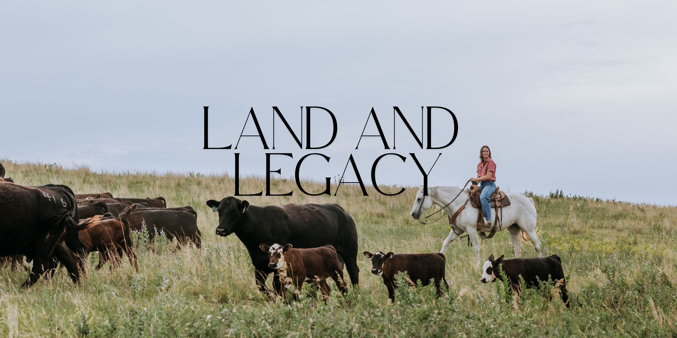 Land & Legacy Vol. II