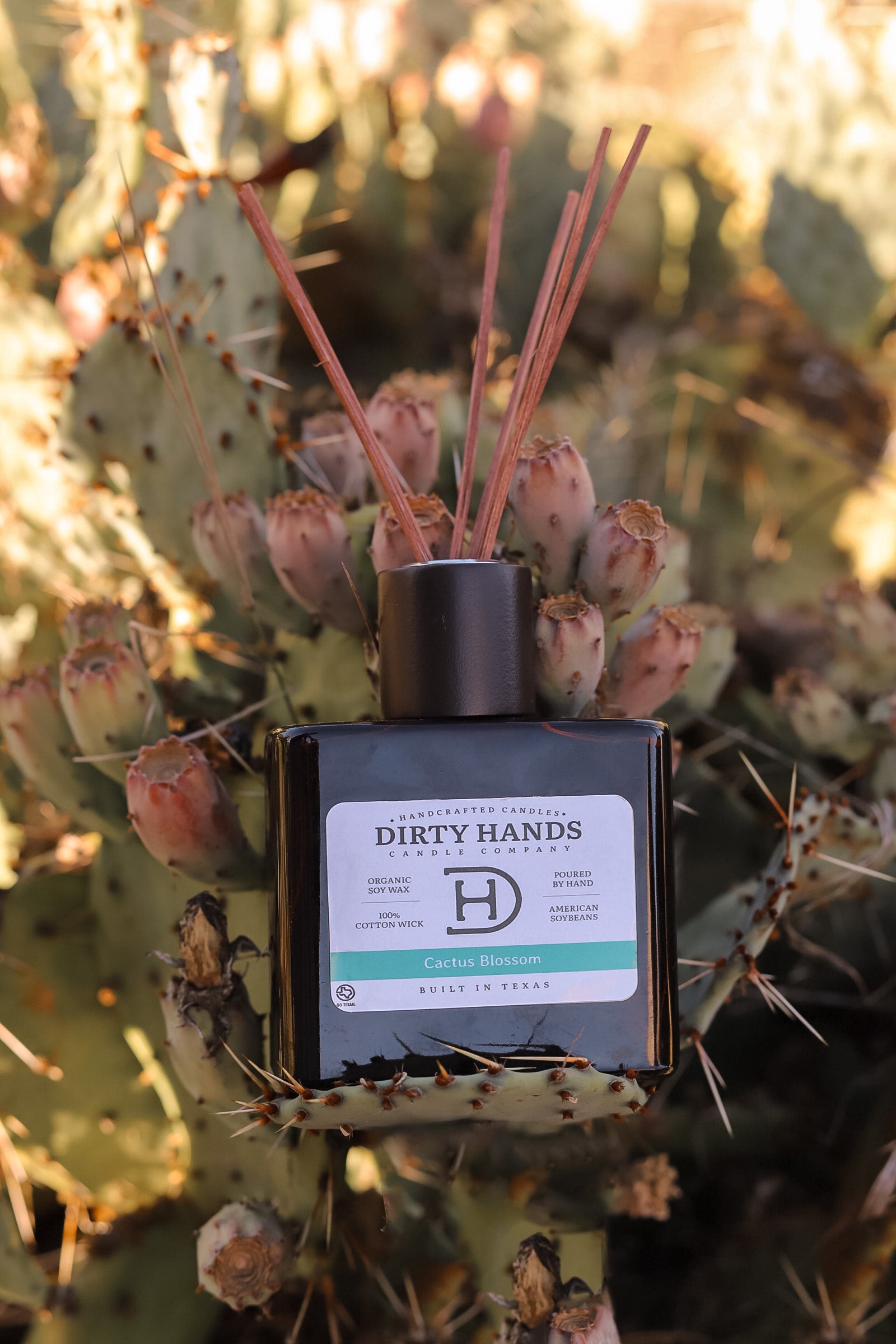 Cactus Blossom Reed Diffuser