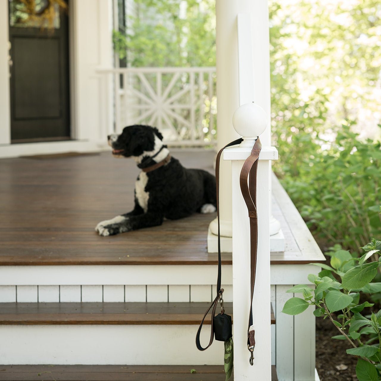 Dog Leash & Poop Bag Holder