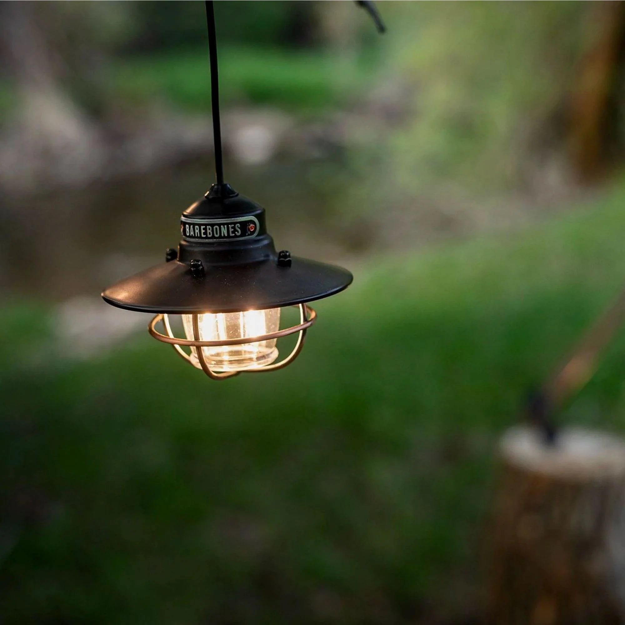 Edison Pendant Light (Final Sale)