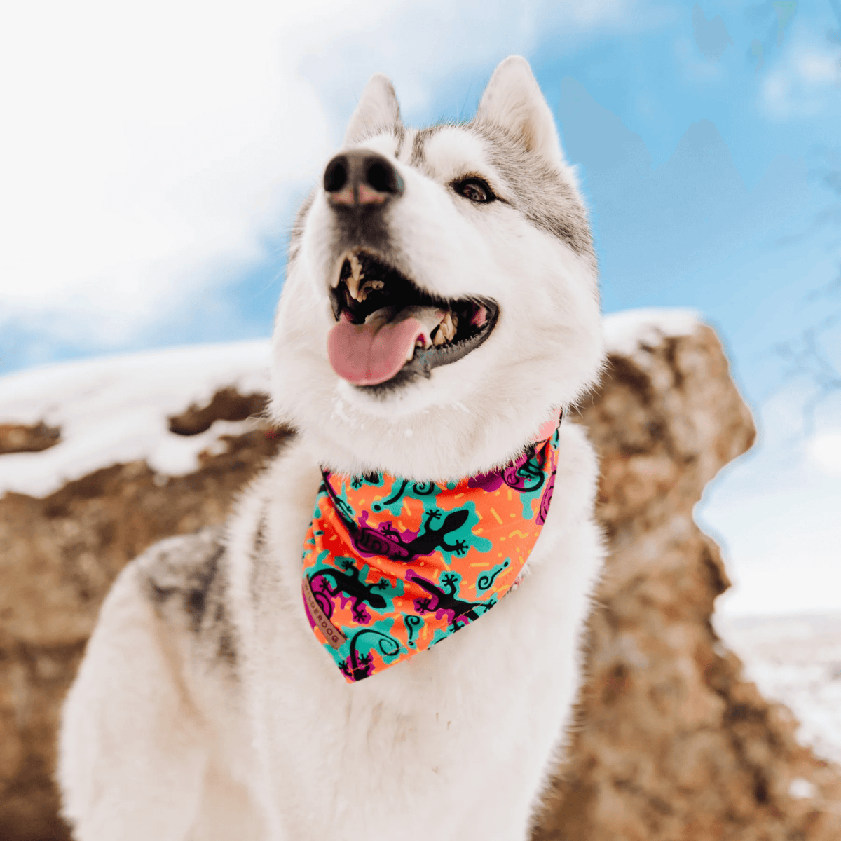 Wilderdog Cooling Bandana for Dogs - The Lizards