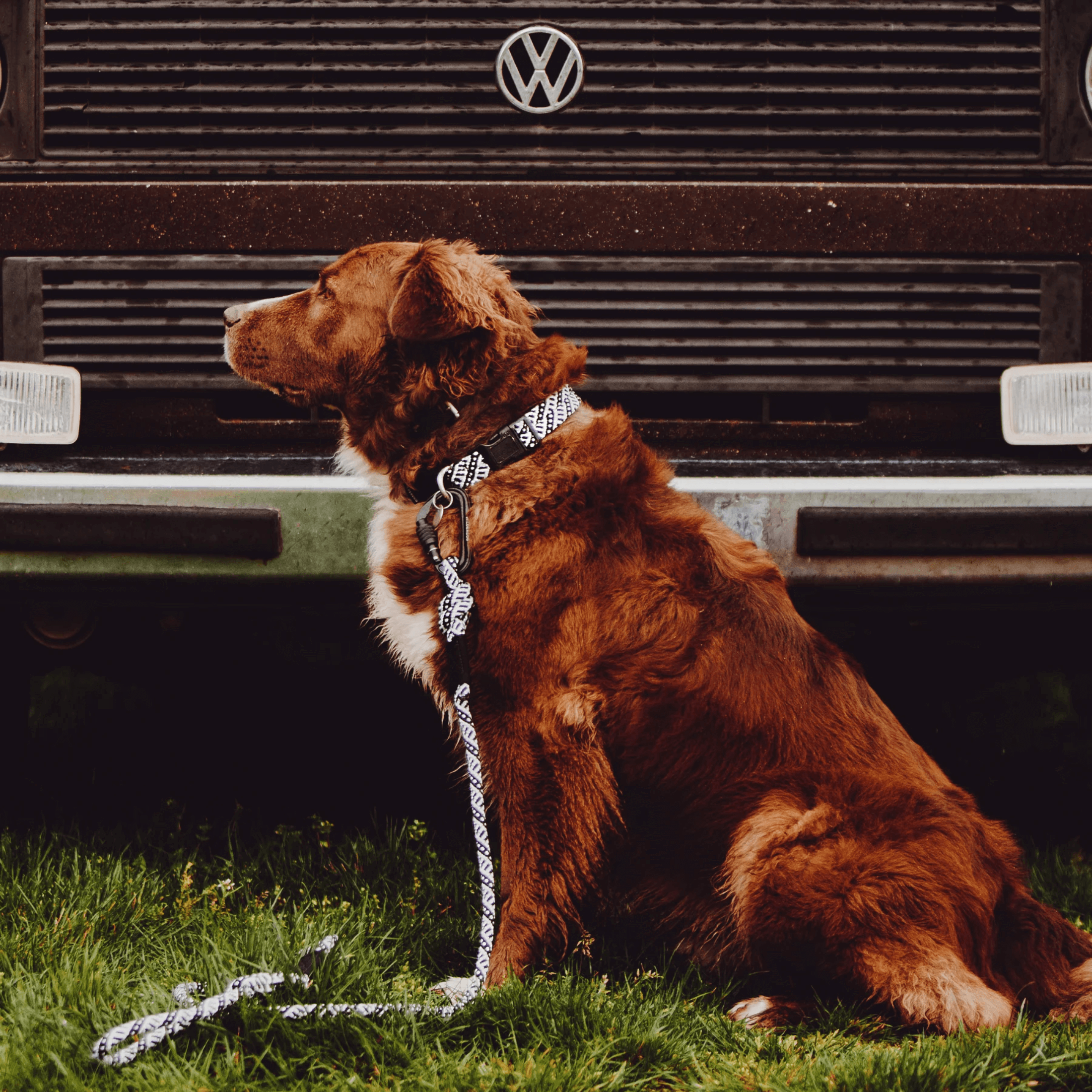 Black & White Rope Collar