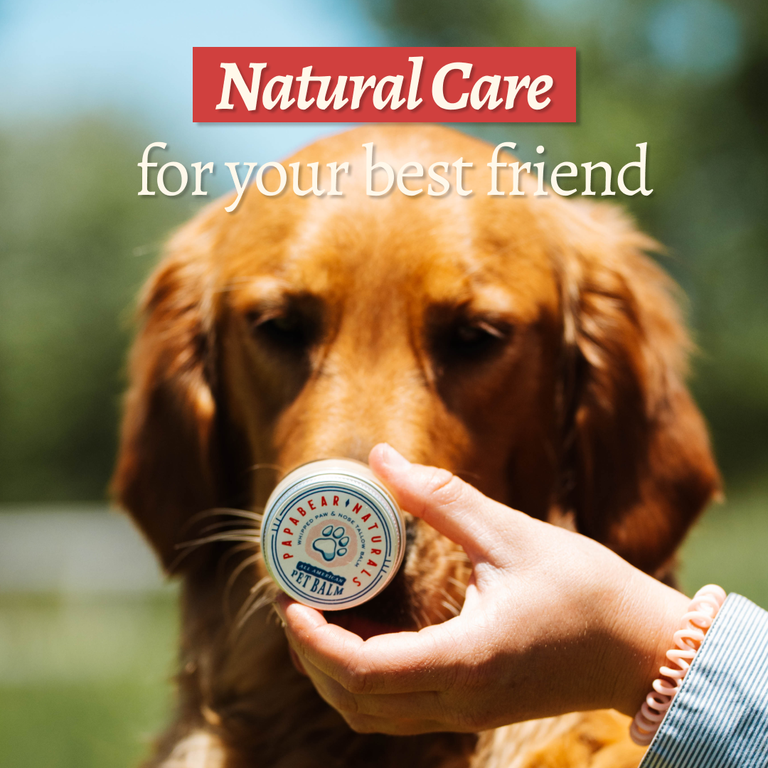 Tallow Pet Care Bundle