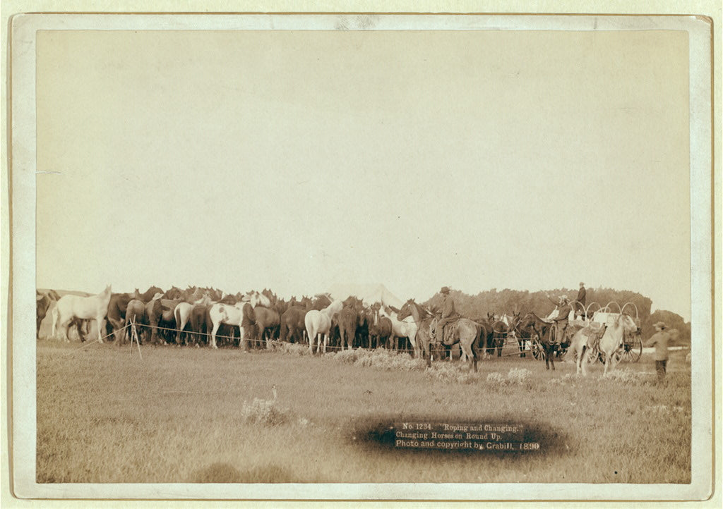 The Neighbor's Gather