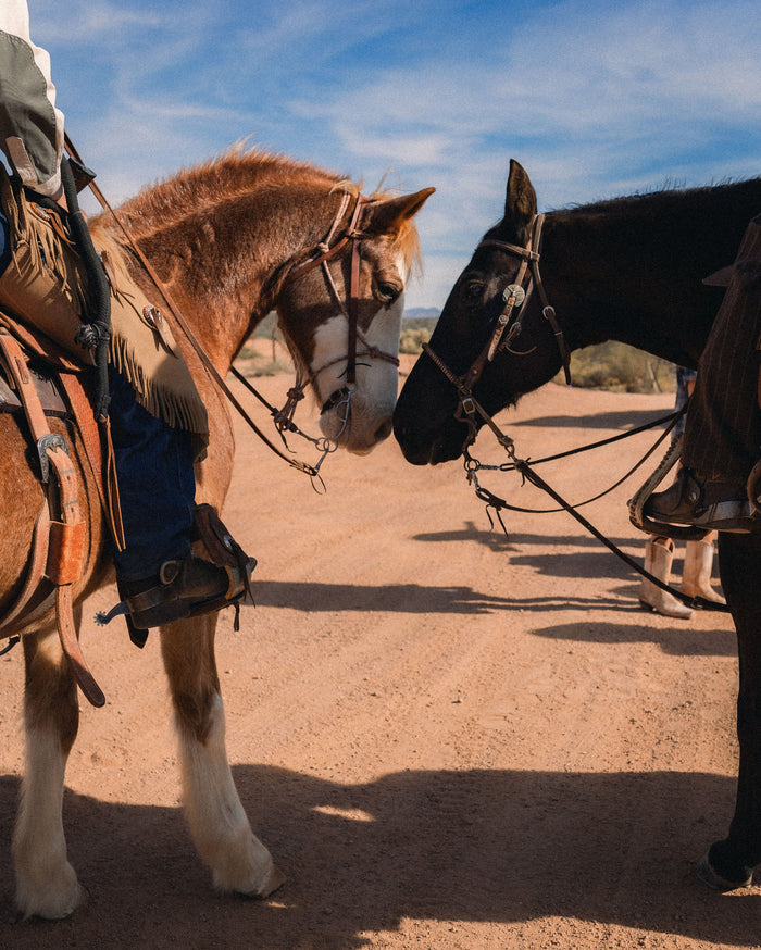 Real Cowboys vs. Hollywood: What Trail Life Was Actually Like