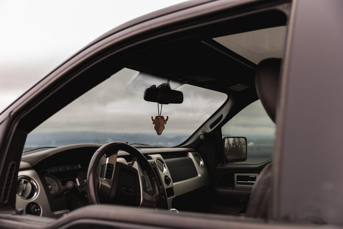 How to Get Dog Smell Out of Your Truck (for Good)