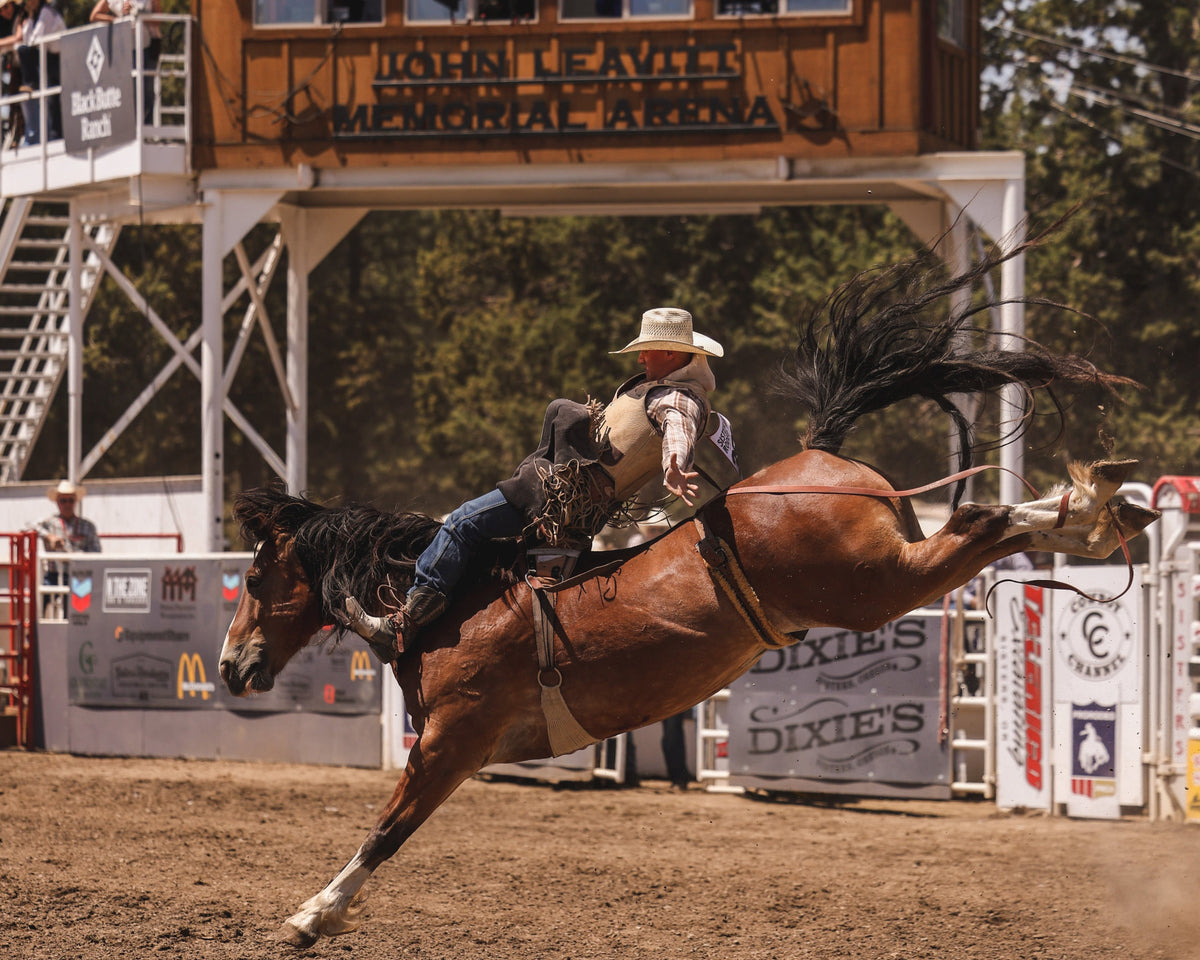 Cheyenne Frontier Days 2026: A First-Timer's Guide – Sackett Ranch