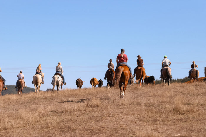 Dodge City and the Kansas Cowtowns: The Real Story