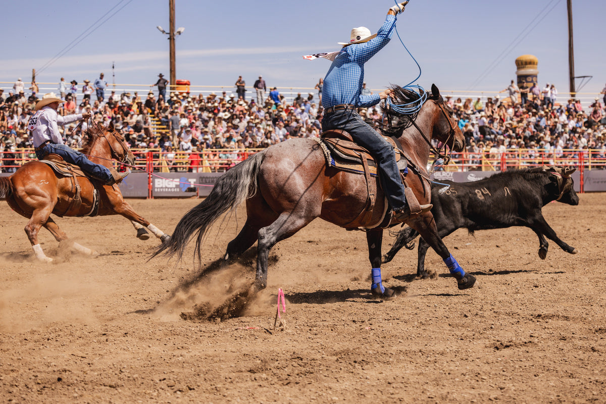 How Rodeo Began: From Ranch Work to the Arena