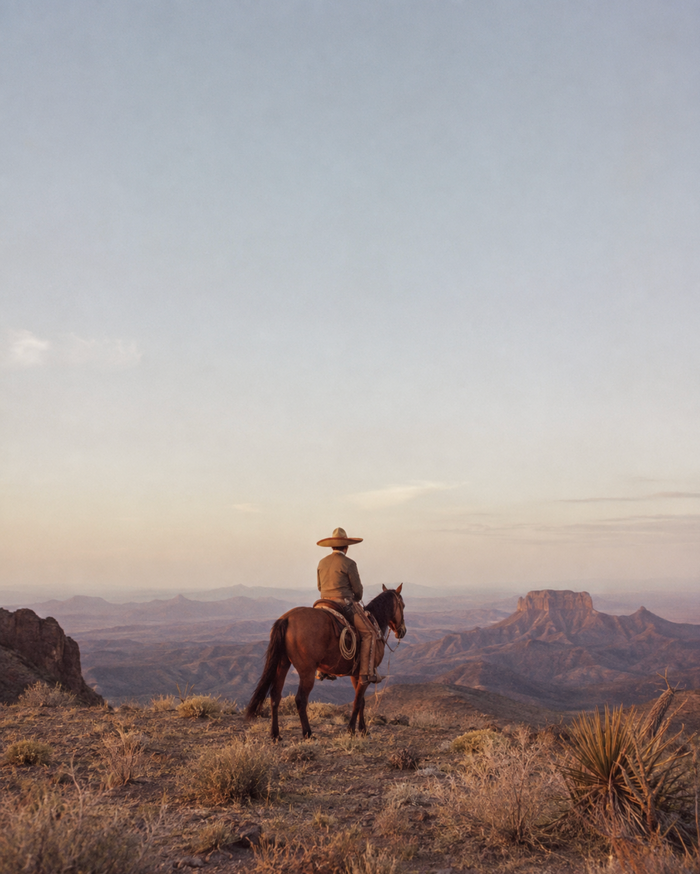 The Texas Longhorn: The Cattle That Walked the Trail