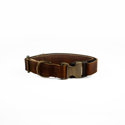 Leather Dog Collar