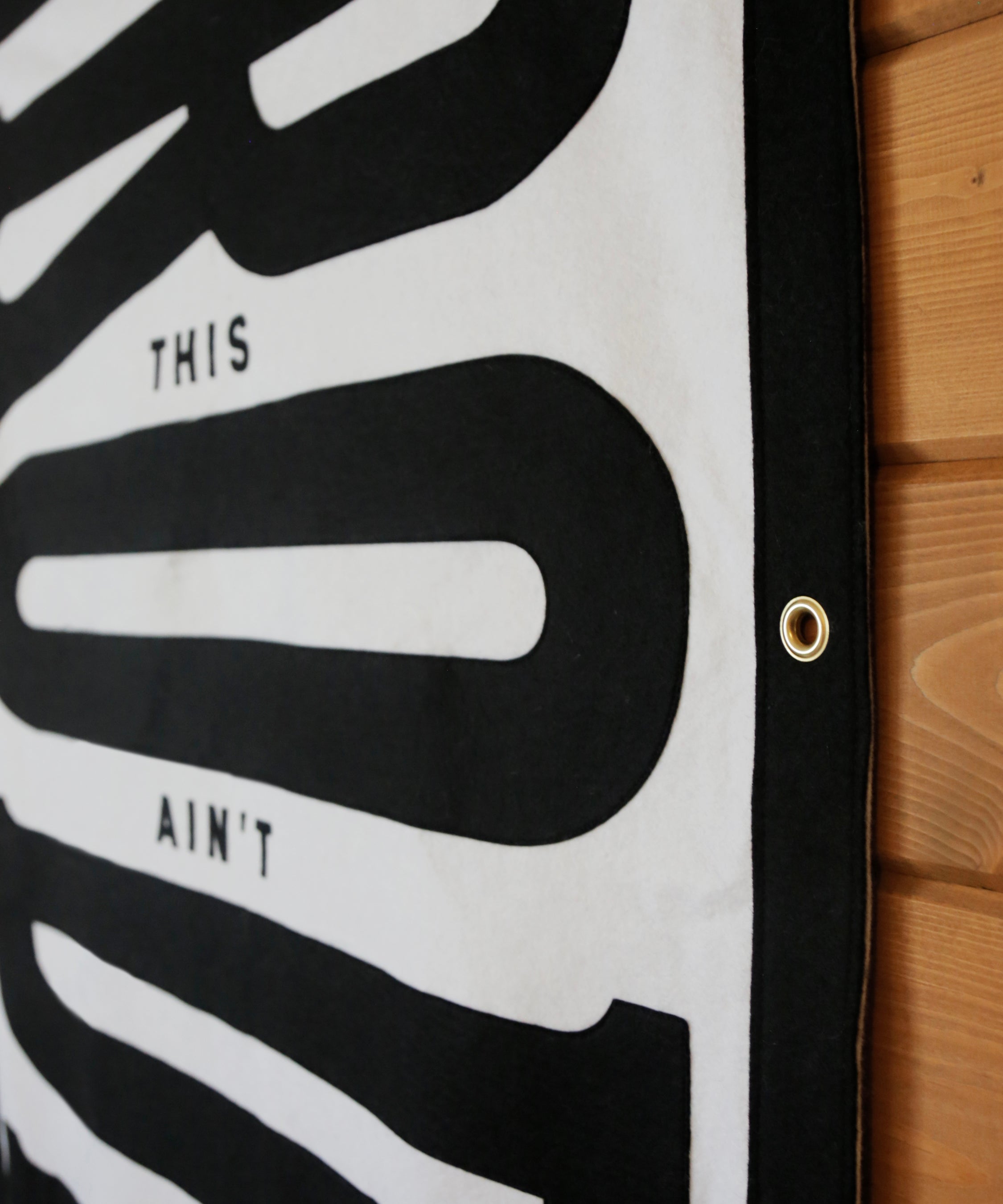 This Ain't My First Rodeo Felt Banner