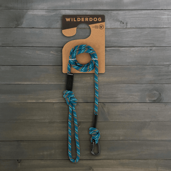 Pacific Blue Reflective Rope Leash