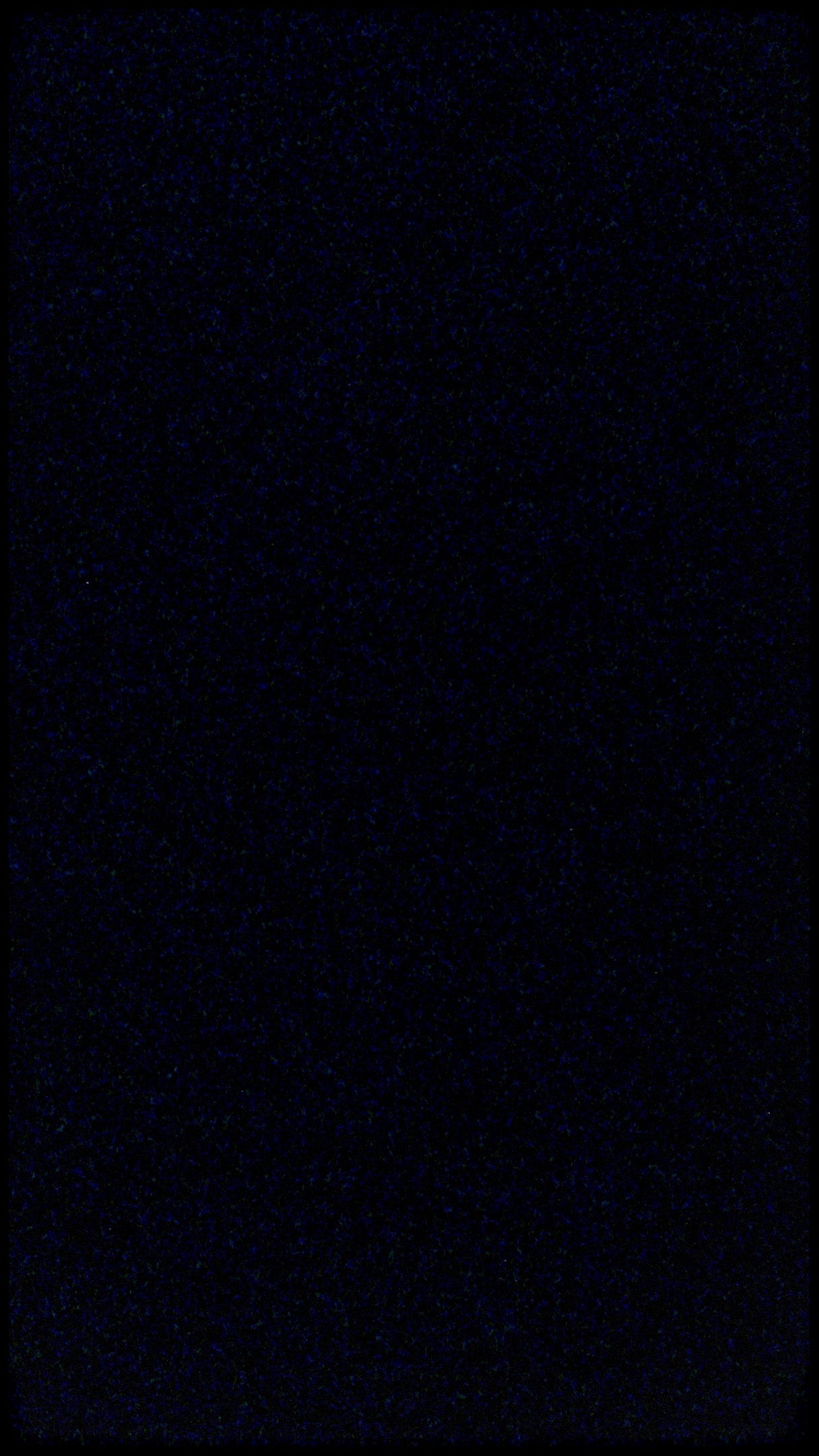 Load video: Sackett Ranch Brand Story